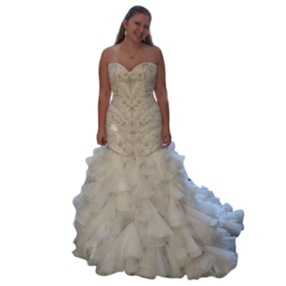 Maggie Sottero Serencia Wedding Dress - Picture 2 of 14